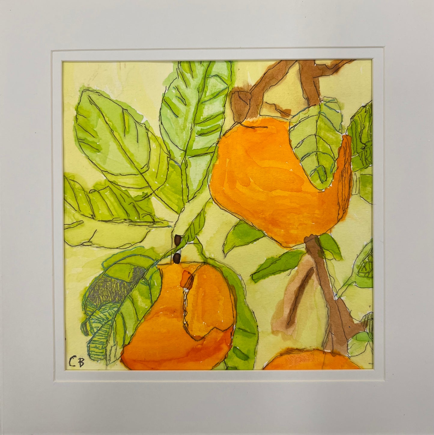 Orange Grove, Camilla Bent