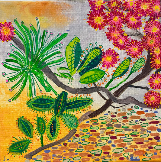 Flowering Red Gum, Jo Bird