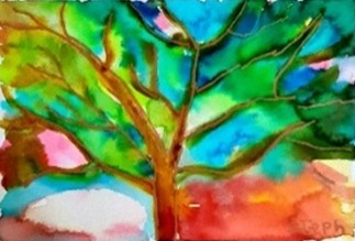 Flame Tree, Stephanie Brown